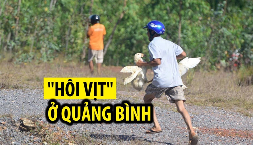 “HÔI CỦA” CÓ VI PHẠM PHÁP LUẬT HAY KHÔNG