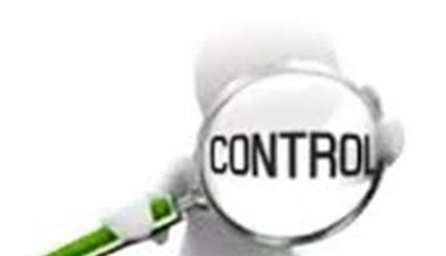 BẮT BUỘC PHẢI CÓ KIỂM SOÁT VIÊN TRONG CÔNG TY TNHH MỘT THÀNH VIÊN KHÔNG?