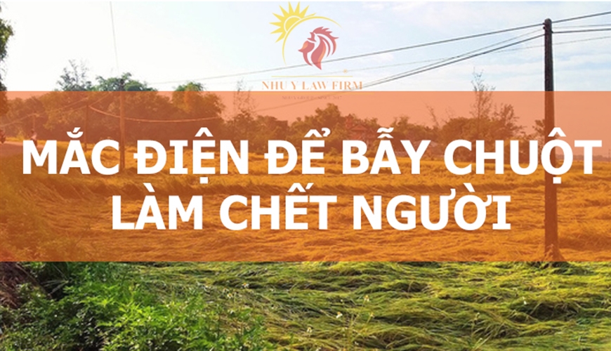 CHỊU TRÁCH NHIỆM GÌ KHI SỬ DỤNG ĐIỆN ĐỂ BẪY CHUỘT NHƯNG LÀM CHẾT NGƯỜI