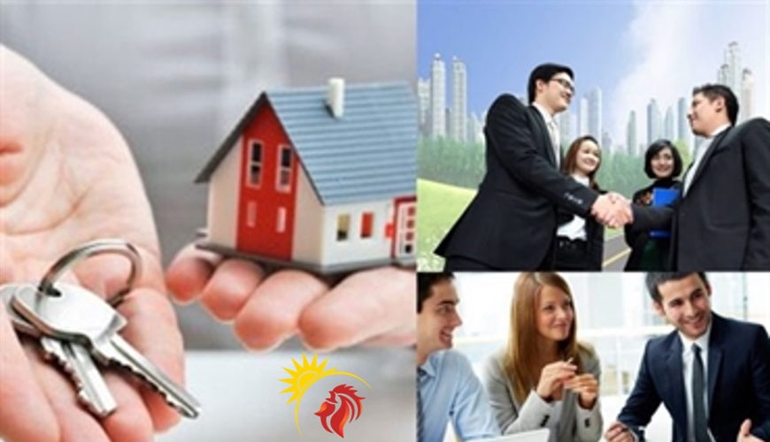 Thủ tục xin cấp chứng chỉ môi giới bất động sản