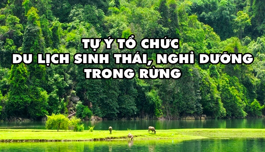 Tổ chức tour du lịch sinh thái và tham quan rừng không xin phép có bị xử phạt không
