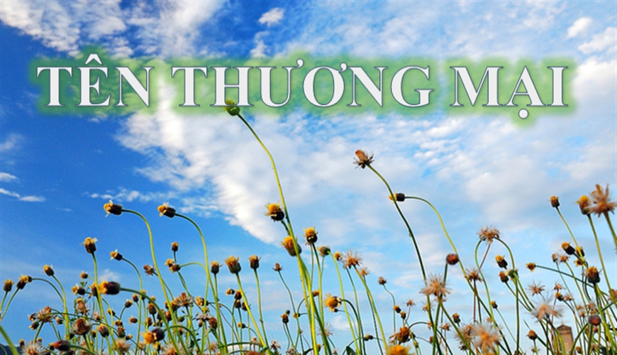 CÁC YẾU TỐ CẤU THÀNH HÀNH VI XÂM PHẠM TÊN THƯƠNG MẠI