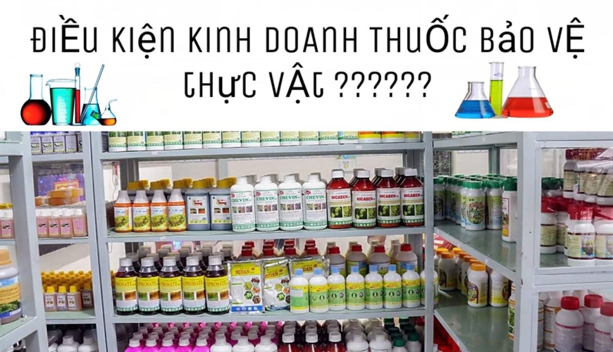 ĐIỀU KIỆN KINH DOANH THUỐC BẢO VỆ THỰC VẬT