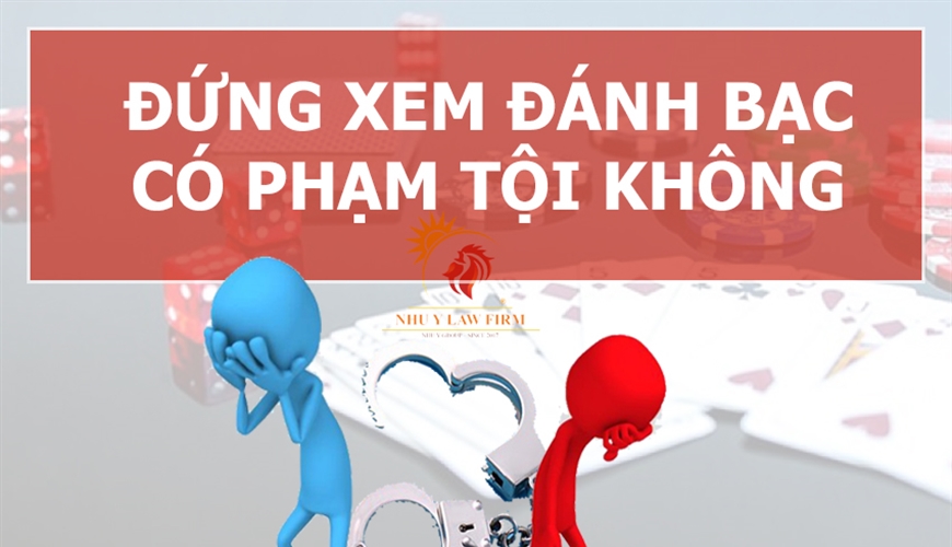 Xem đánh bạc có phải đồng phạm của tội đánh bạc không