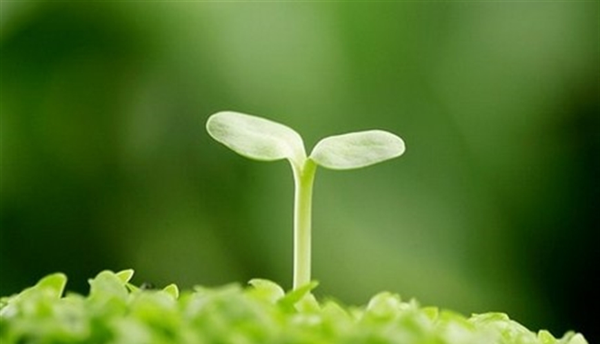 Sản xuất thuốc tại Việt Nam